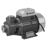 Bomba Periférica Niwa WENW-100P
