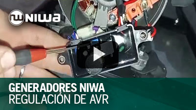 Regulación AVR en Generadores NIWA